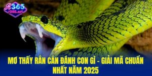 mơ thấy rắn cắn