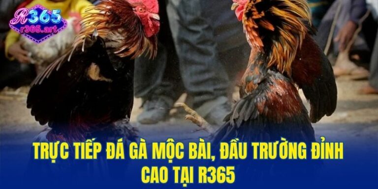 Đá gà Mộc Bài