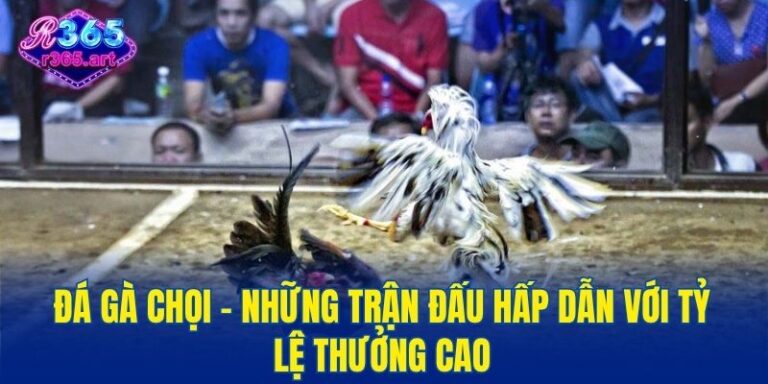 đá gà chọi