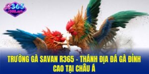 Trường Gà Savan