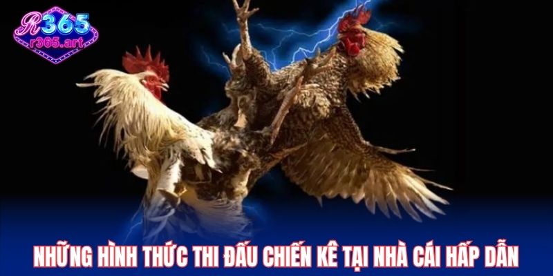 Đá gà chọi - Những Trận Đấu Hấp Dẫn Với Tỷ Lệ Thưởng Cao 2 Những hình thức thi đấu chiến kê tại nhà cái hấp dẫn