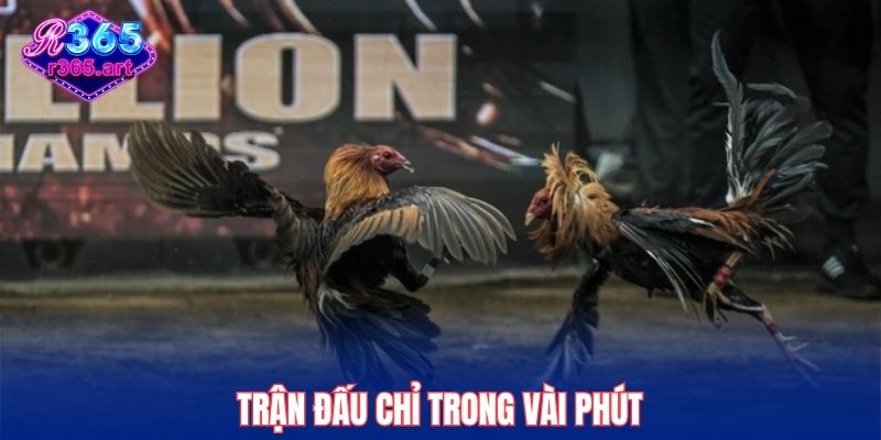 Trận đấu chỉ trong vài phút