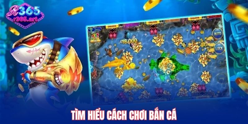 Tìm hiểu cách chơi