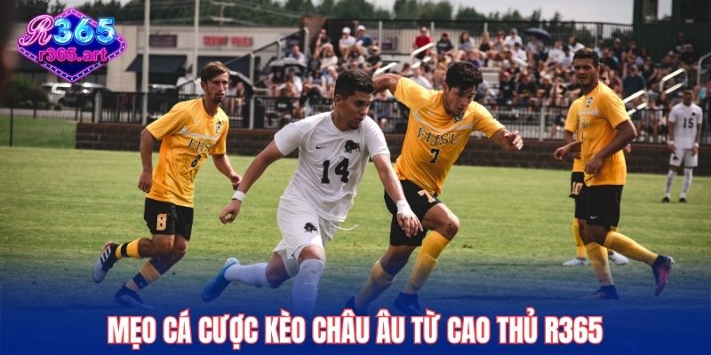 Mẹo cá cược kèo châu Âu từ cao thủ R365