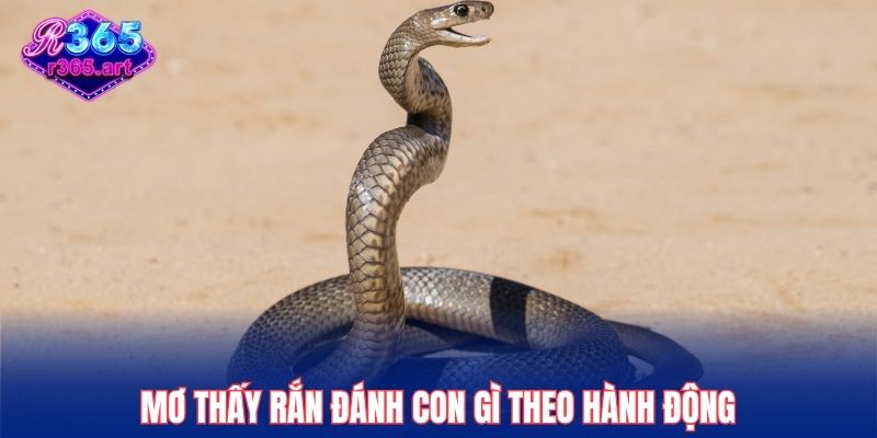 Mơ thấy rắn đánh con gì theo hành động