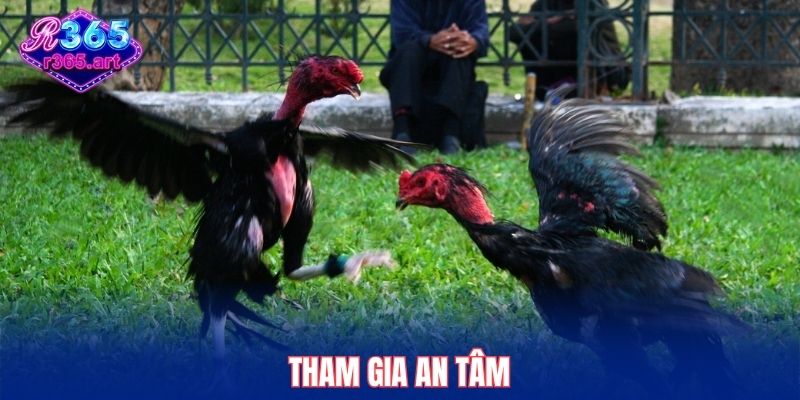 Tham gia an tâm