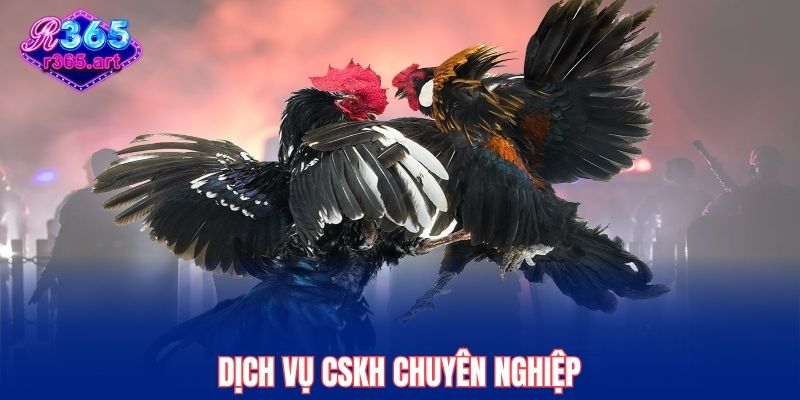 Dịch vụ CSKH chuyên nghiệp